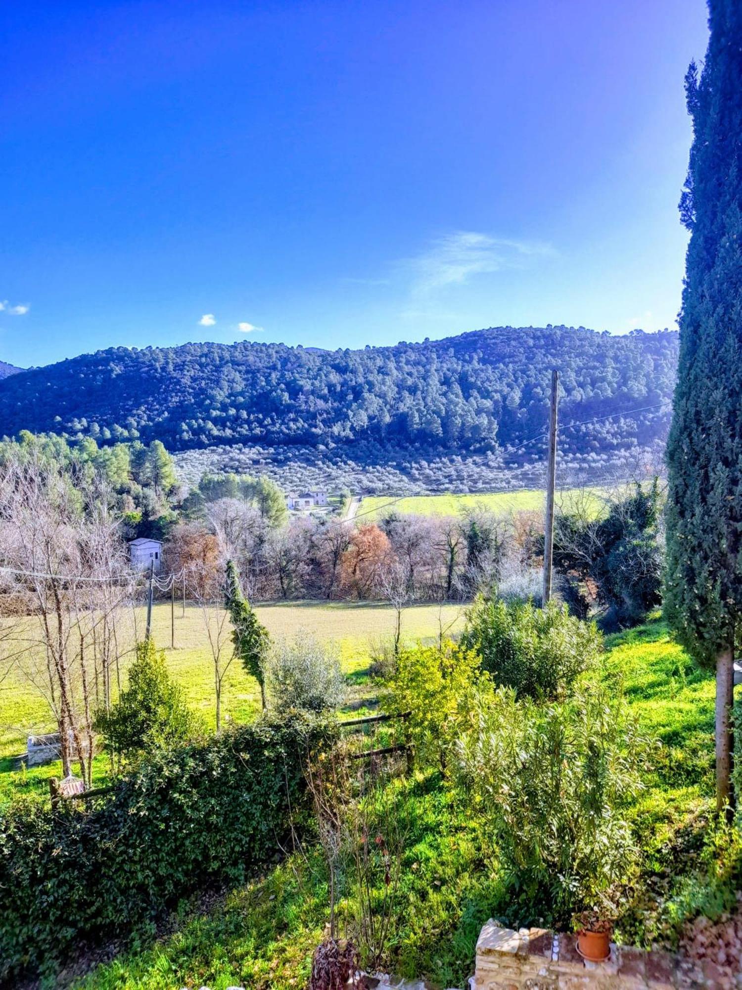 Double Room Garden View