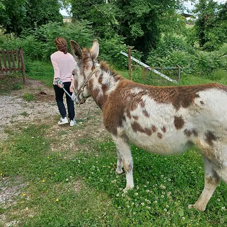 Le Cerque-2